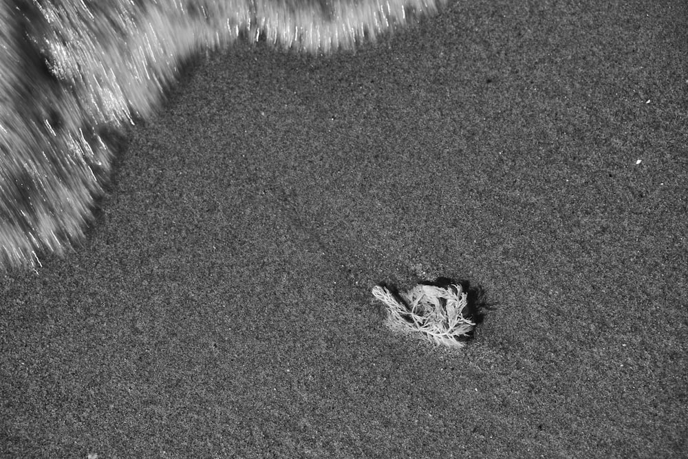 a black and white photo of a wave coming in from the ocean