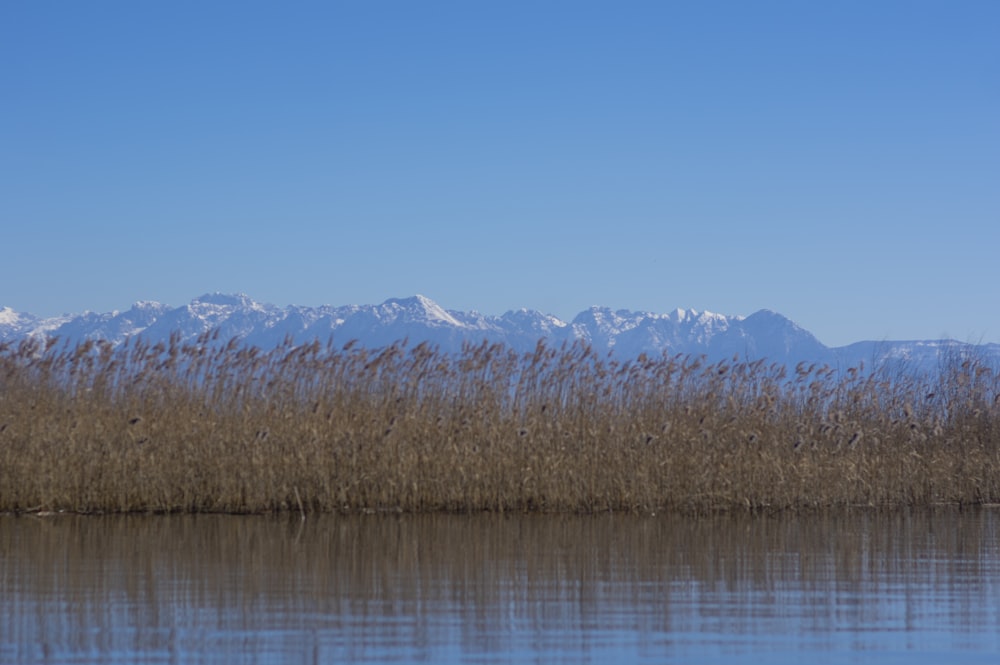 a body of water with a mountain range in the background