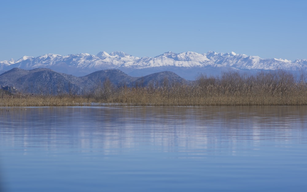 Uno specchio d'acqua con le montagne sullo sfondo