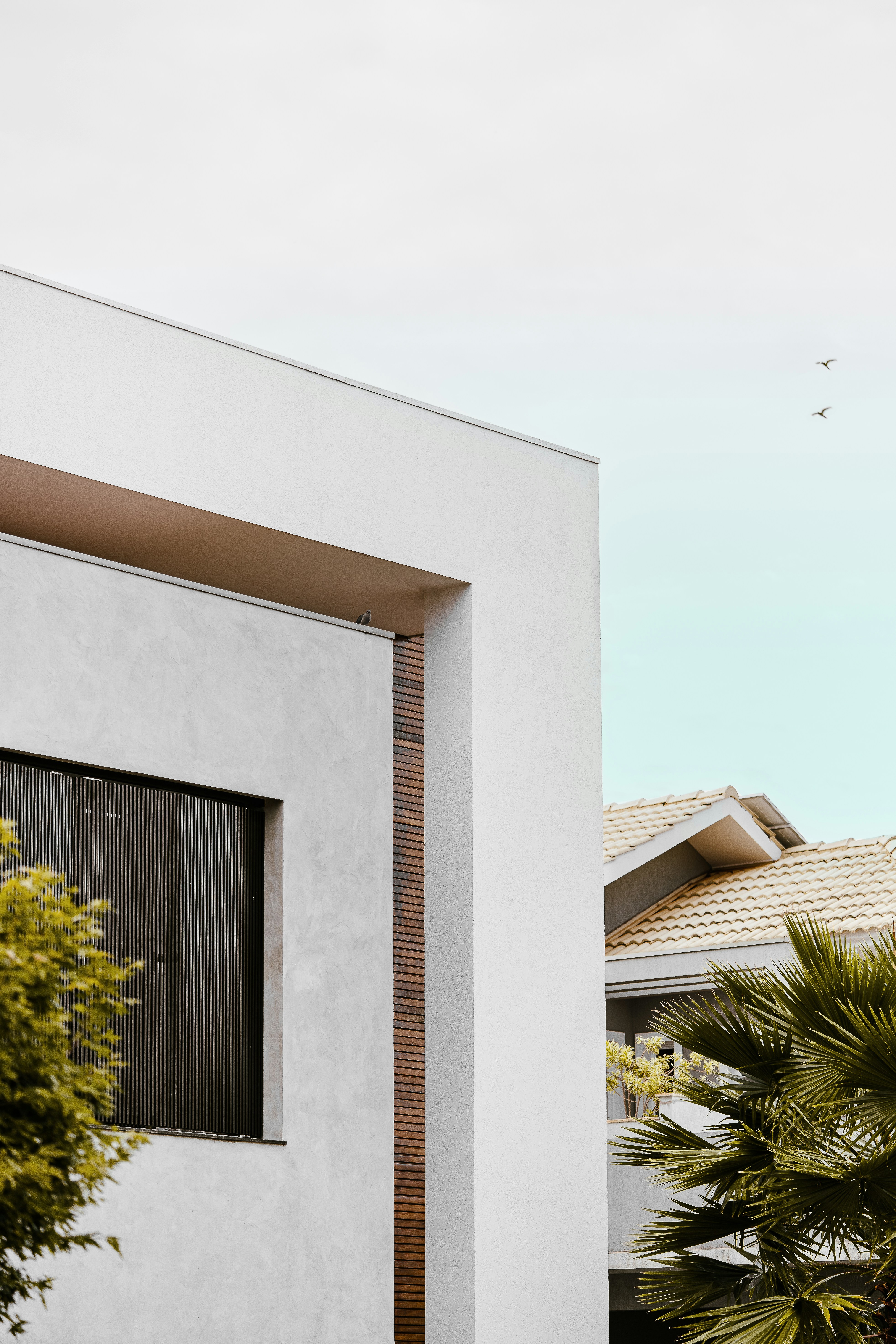 Photo by guilhermestecanella