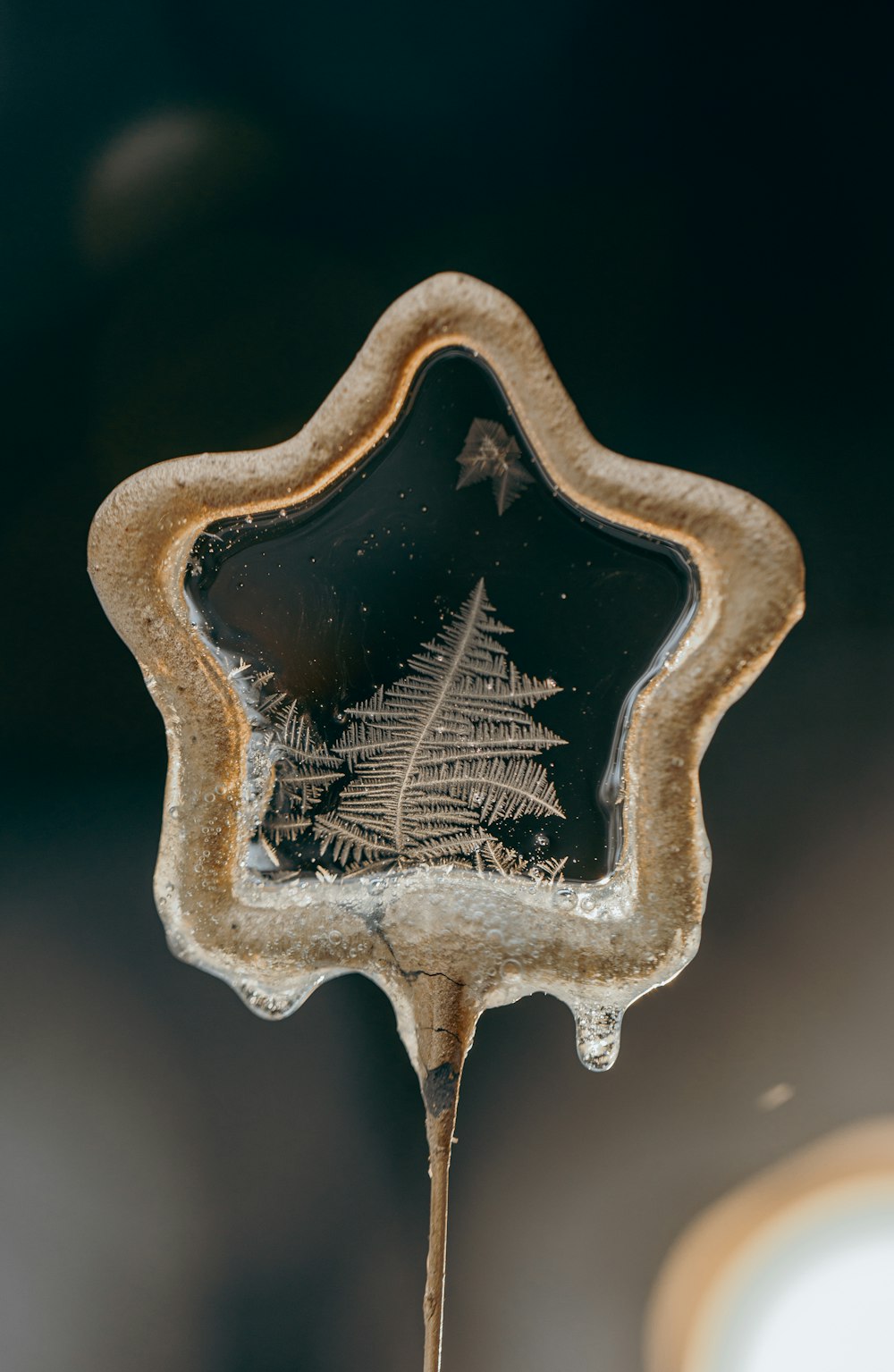 a close up of a glass object with a tree on it