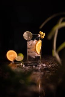 a glass filled with ice and lemon slices