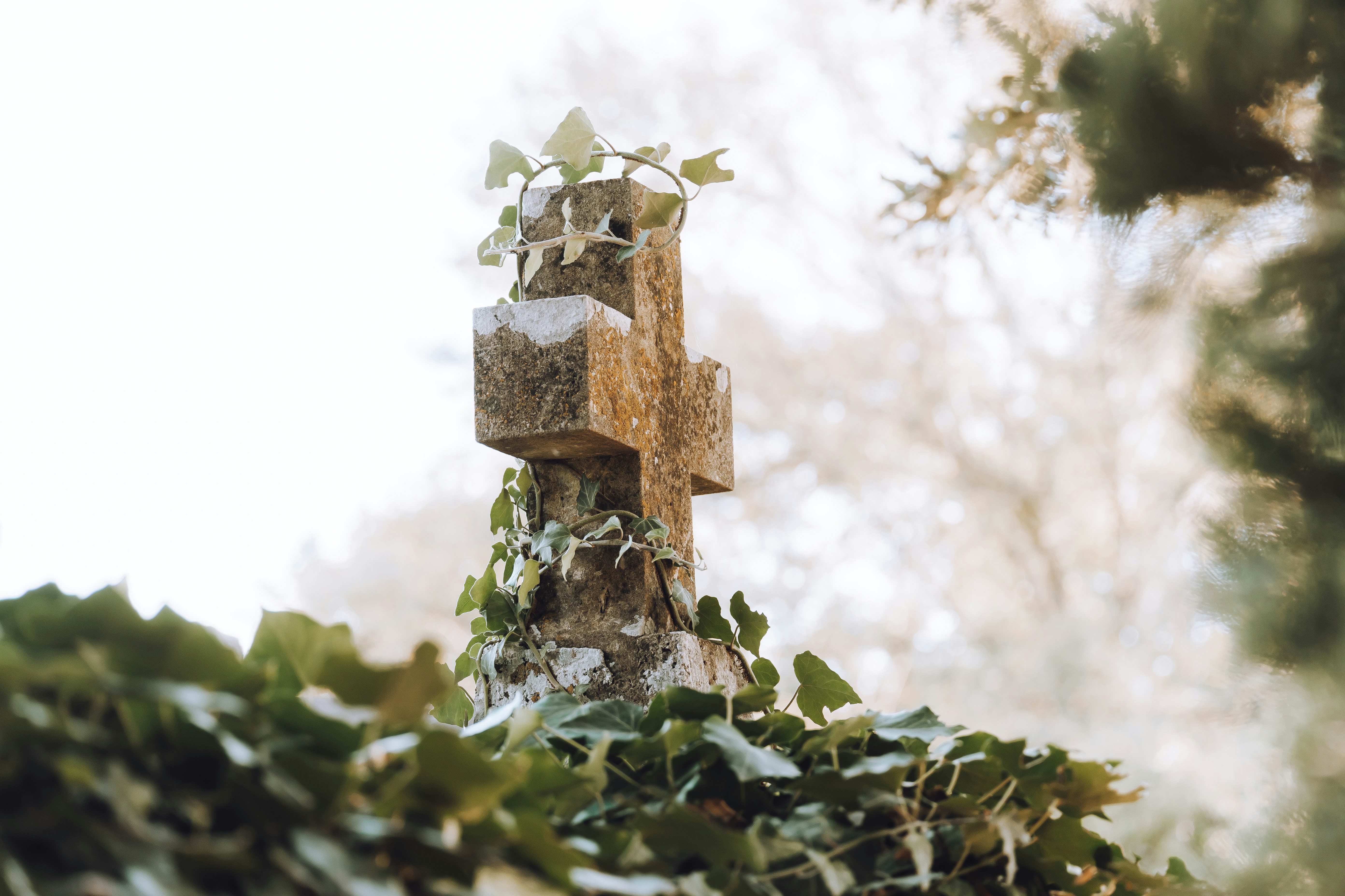 a cross made out of stones and ivy