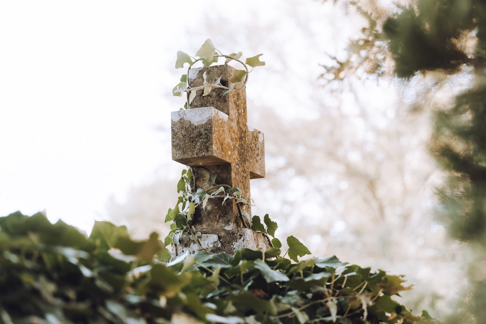 a cross made out of stones and ivy