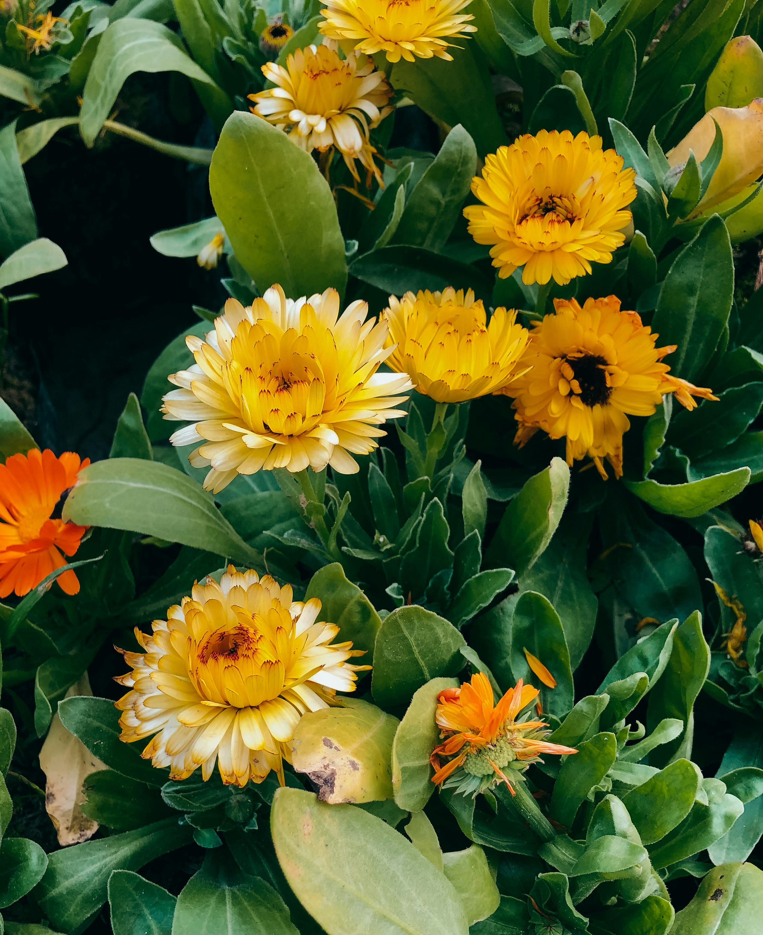 Photo by aryasphotodiary