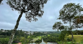 A serene view of Bhothidih village showcasing lush greenery.