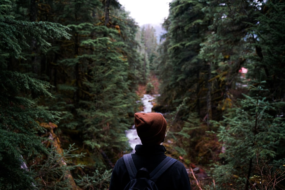 a person with a backpack looking at a river in the woods