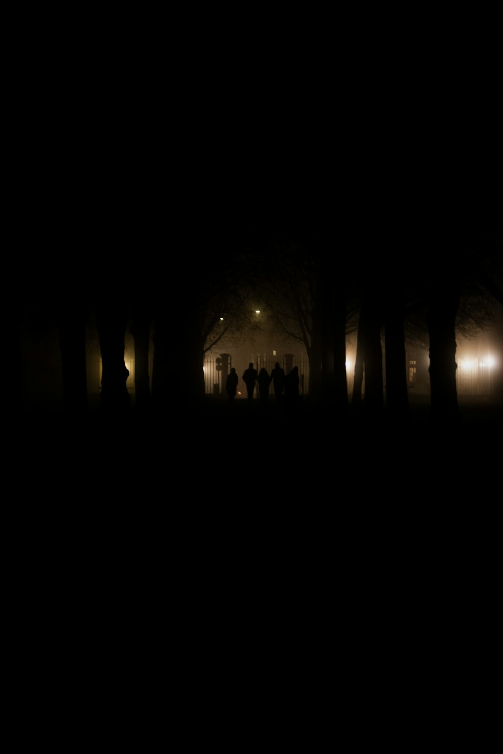 a group of people standing in a dark forest