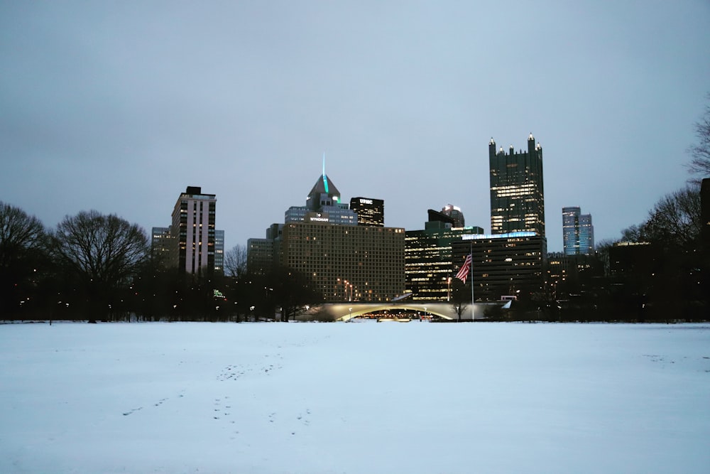 uma vista de uma cidade à noite do outro lado de um campo nevado