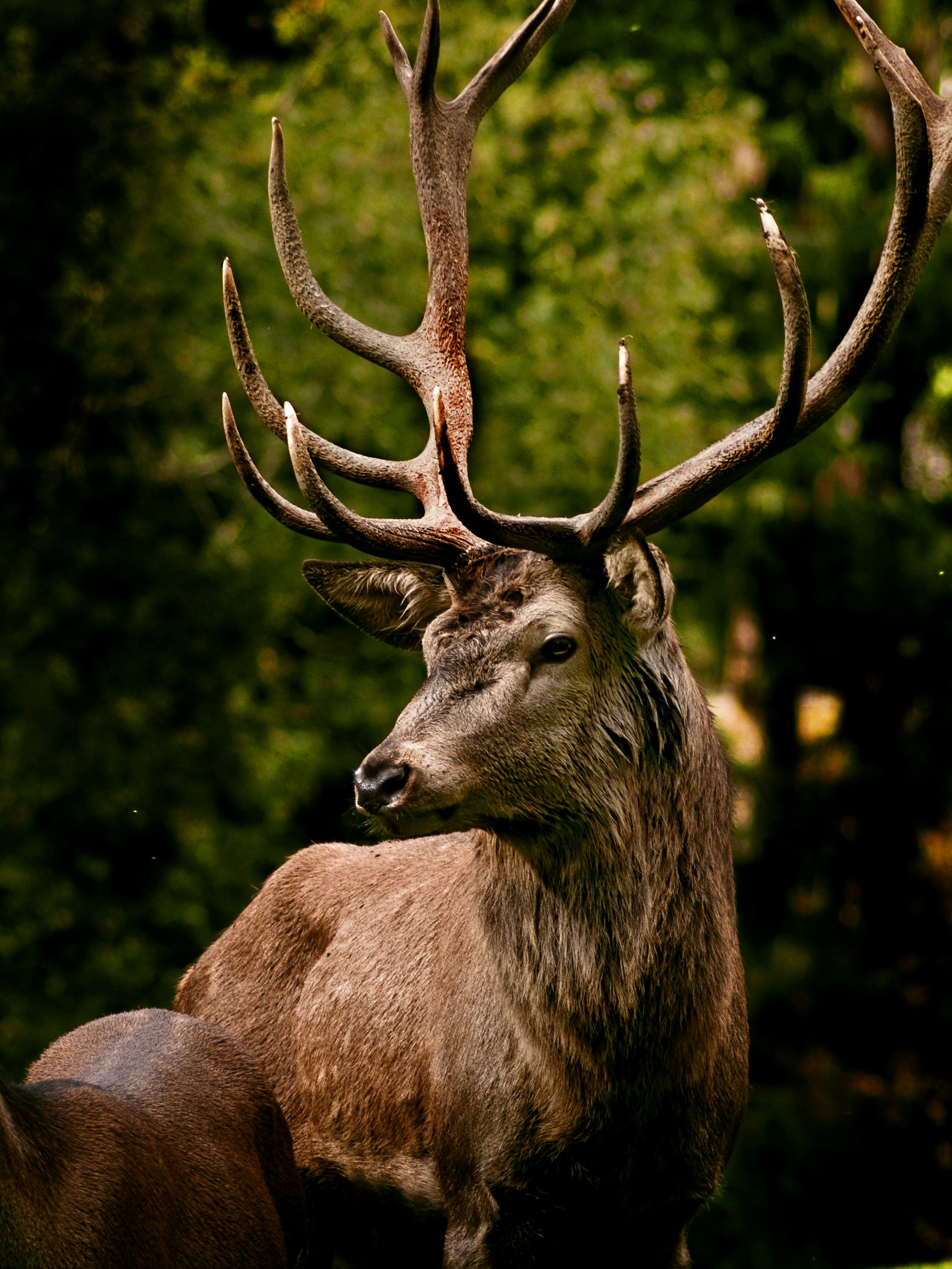 Photo by fabian_lauer