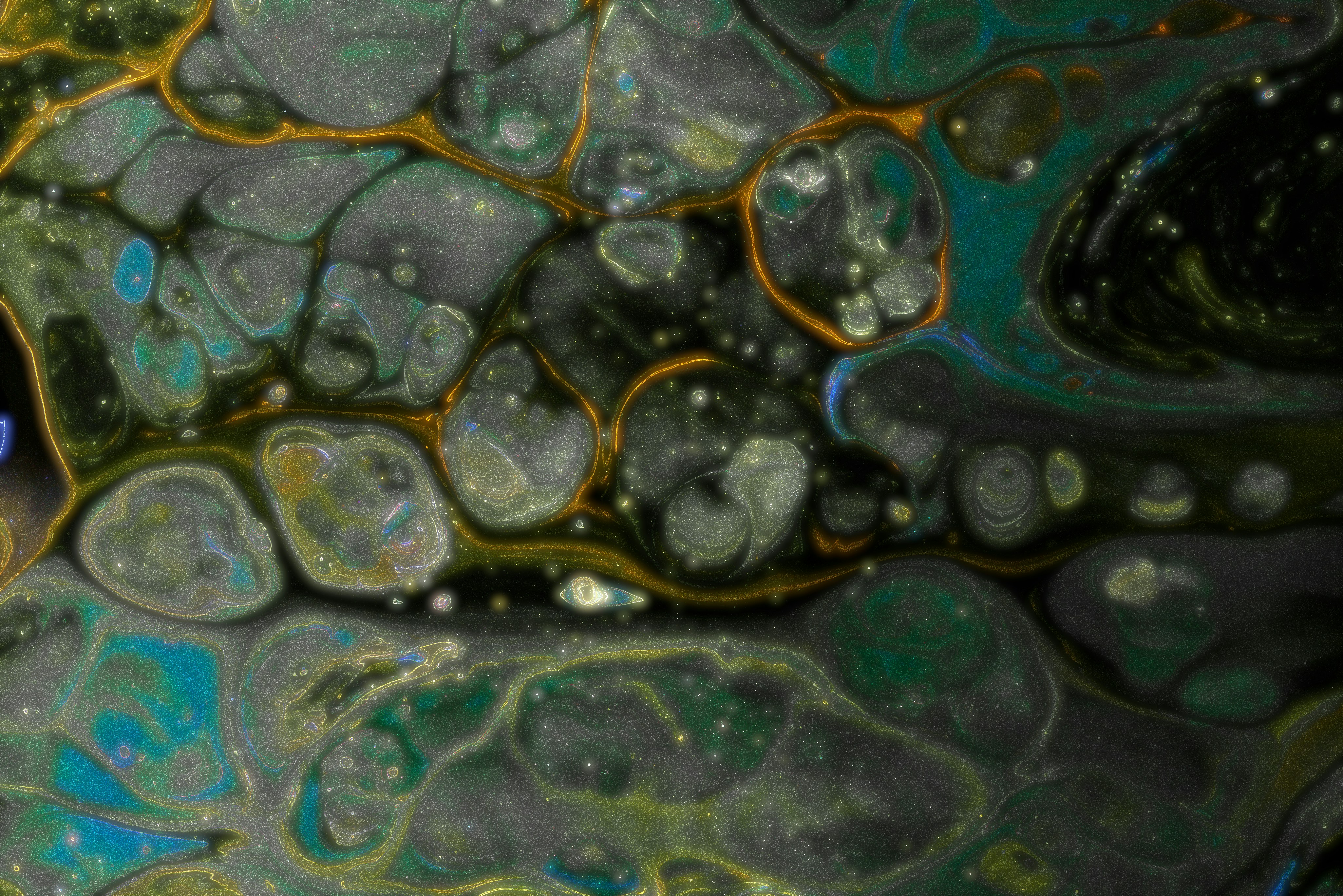 Photo by solenfeyissa