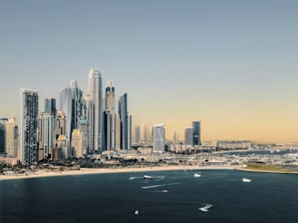 a view of a city from the water