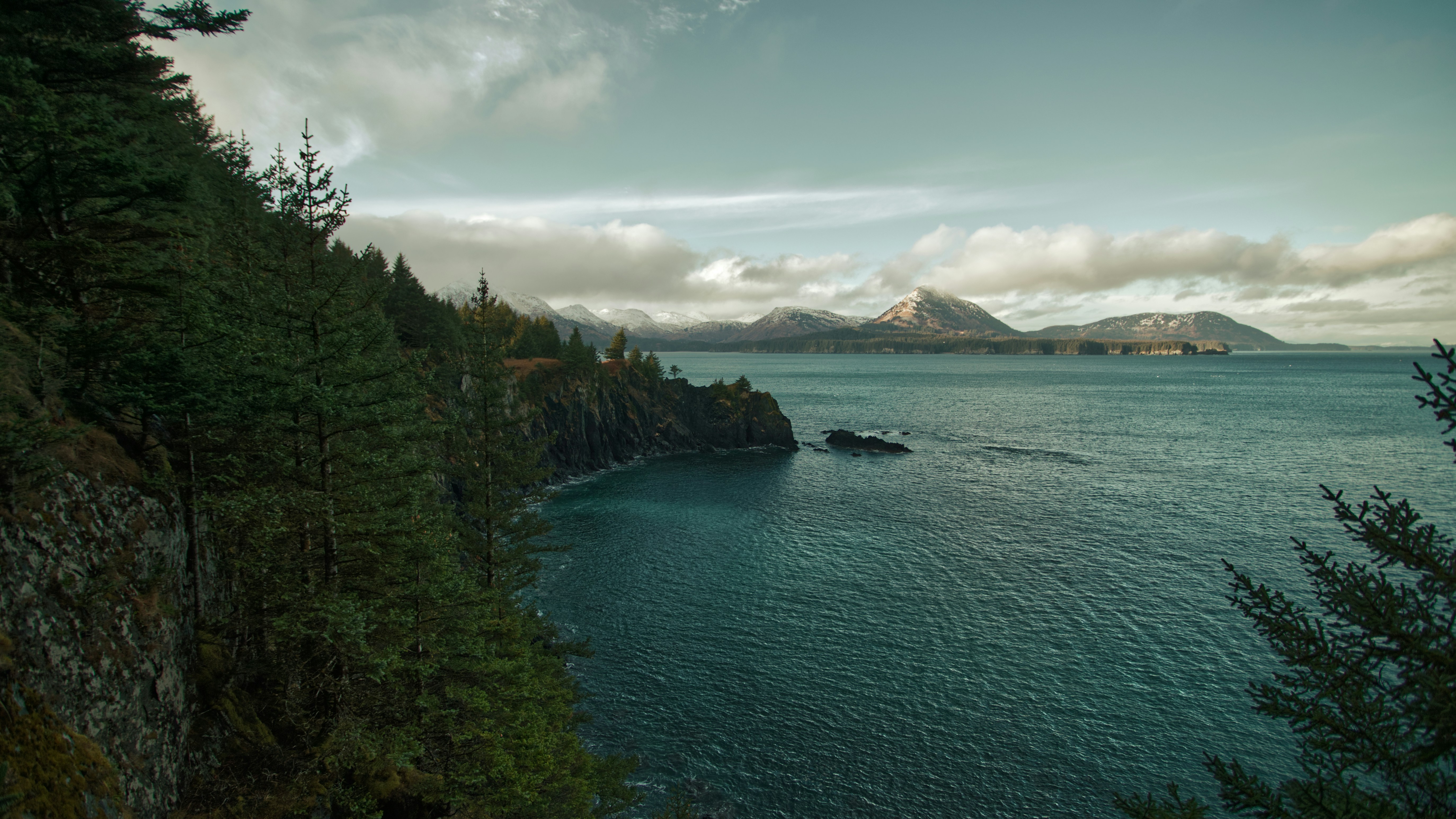 a boat traveling on a body of water near a forest, View from the trail