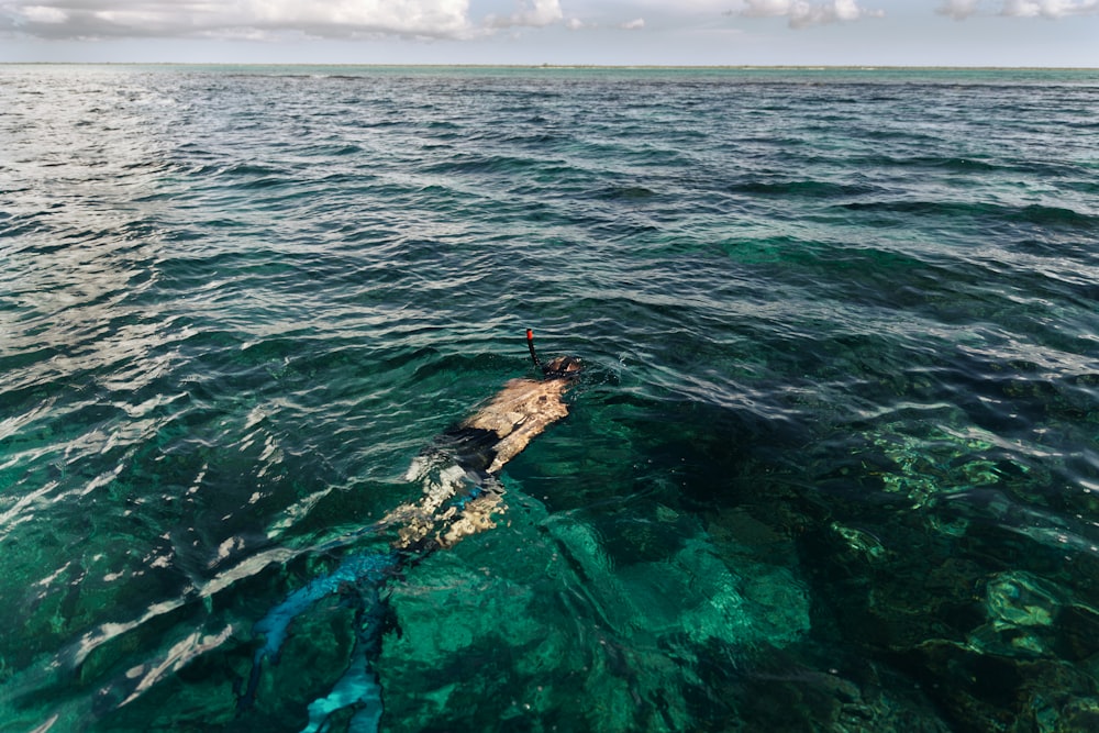 a person on a surfboard in the middle of the ocean