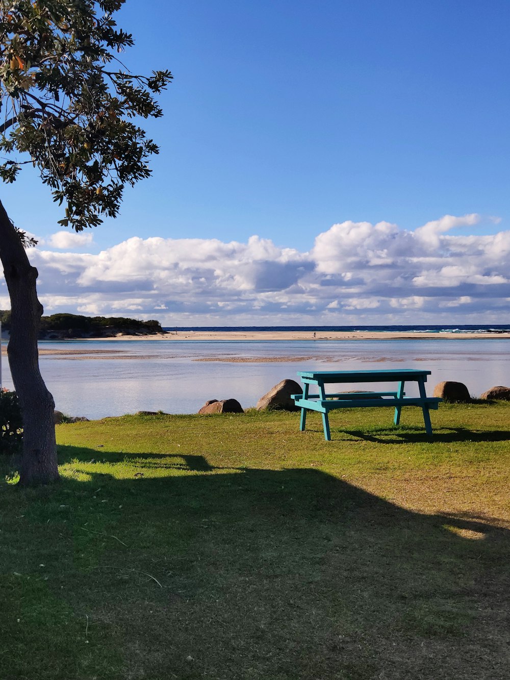 a green bench sitting next to a tree near a body of water