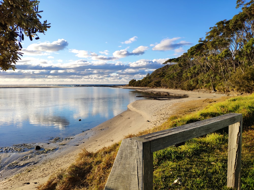 une vue sur une plage et un plan d’eau