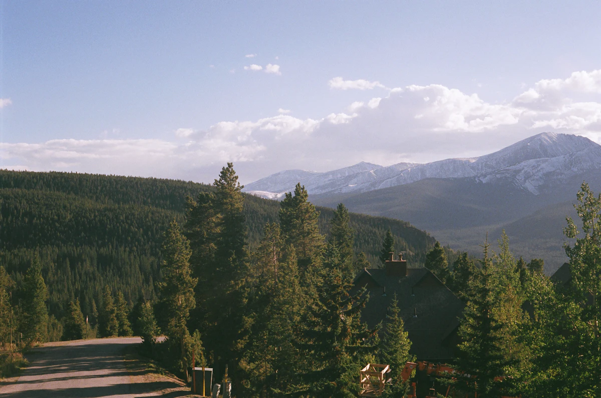 A gravel road through pine forest near Breckenridge, Colorado, with snowy peaks behind