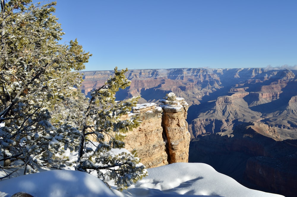 a view of the grand canyon in winter