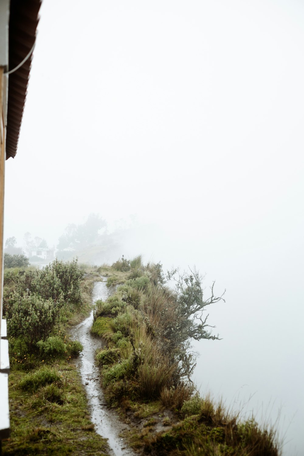 a foggy path leading to a house on a hill