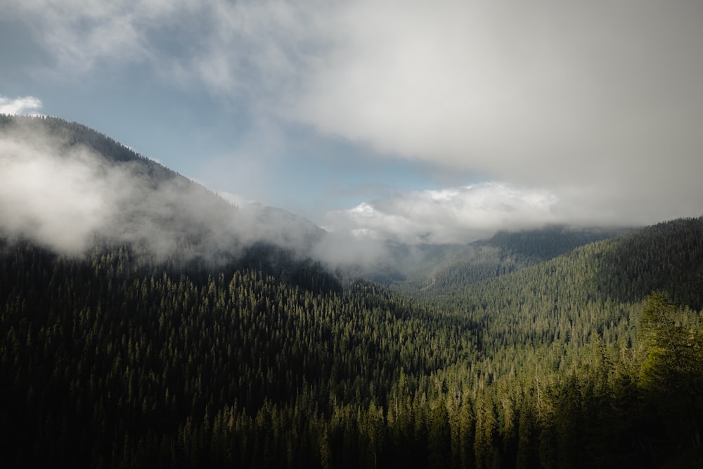 a view of a mountain range with trees in the foreground and clouds in the