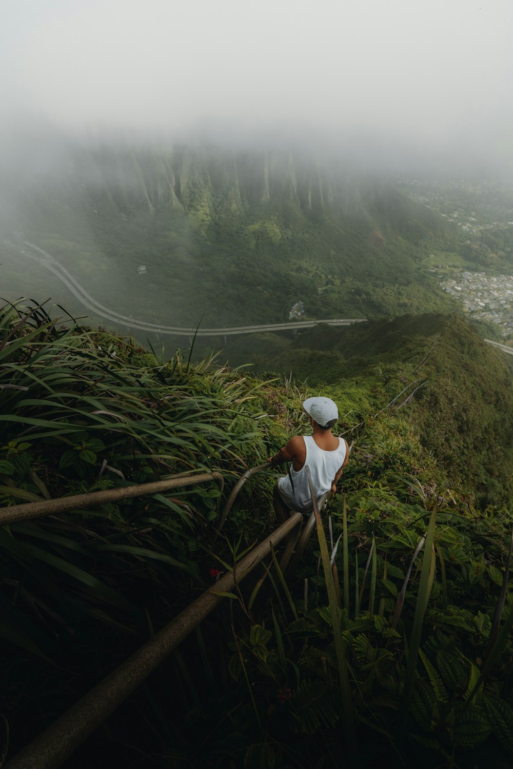 a man standing on top of a lush green hillside