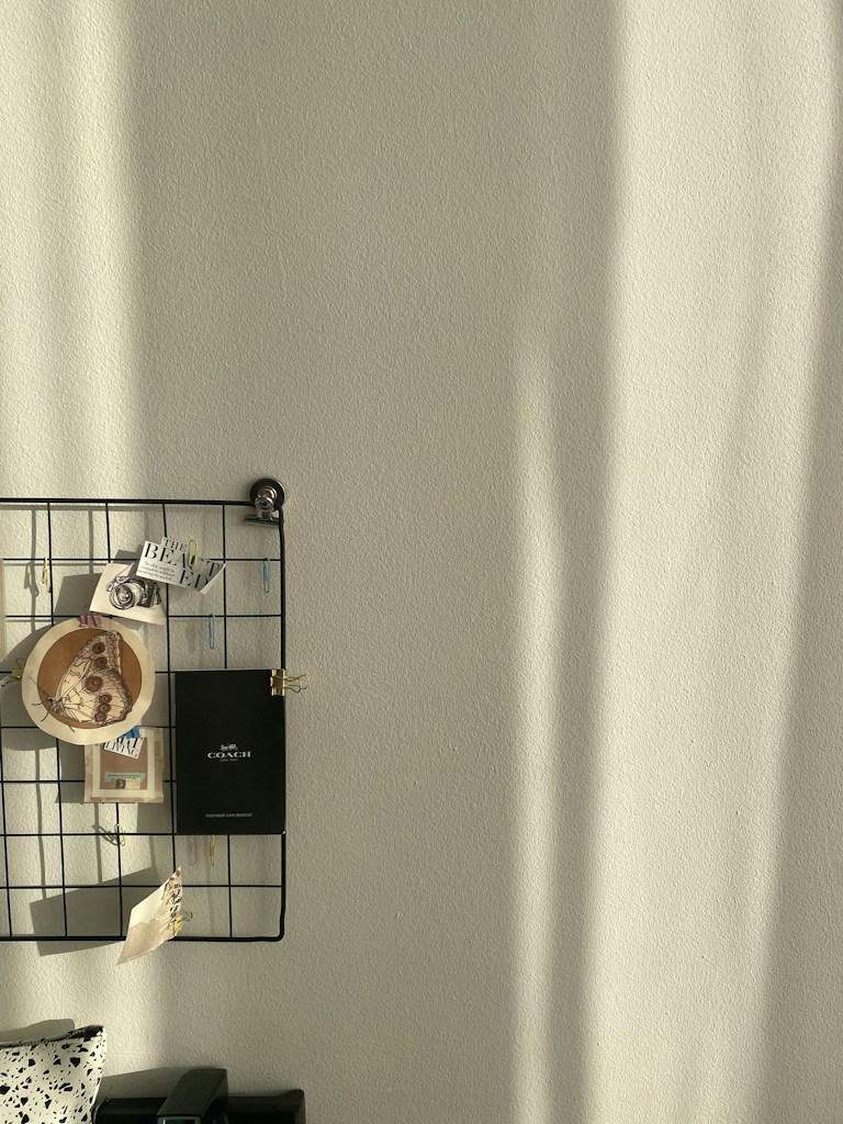 Everyday Storage Organizer
