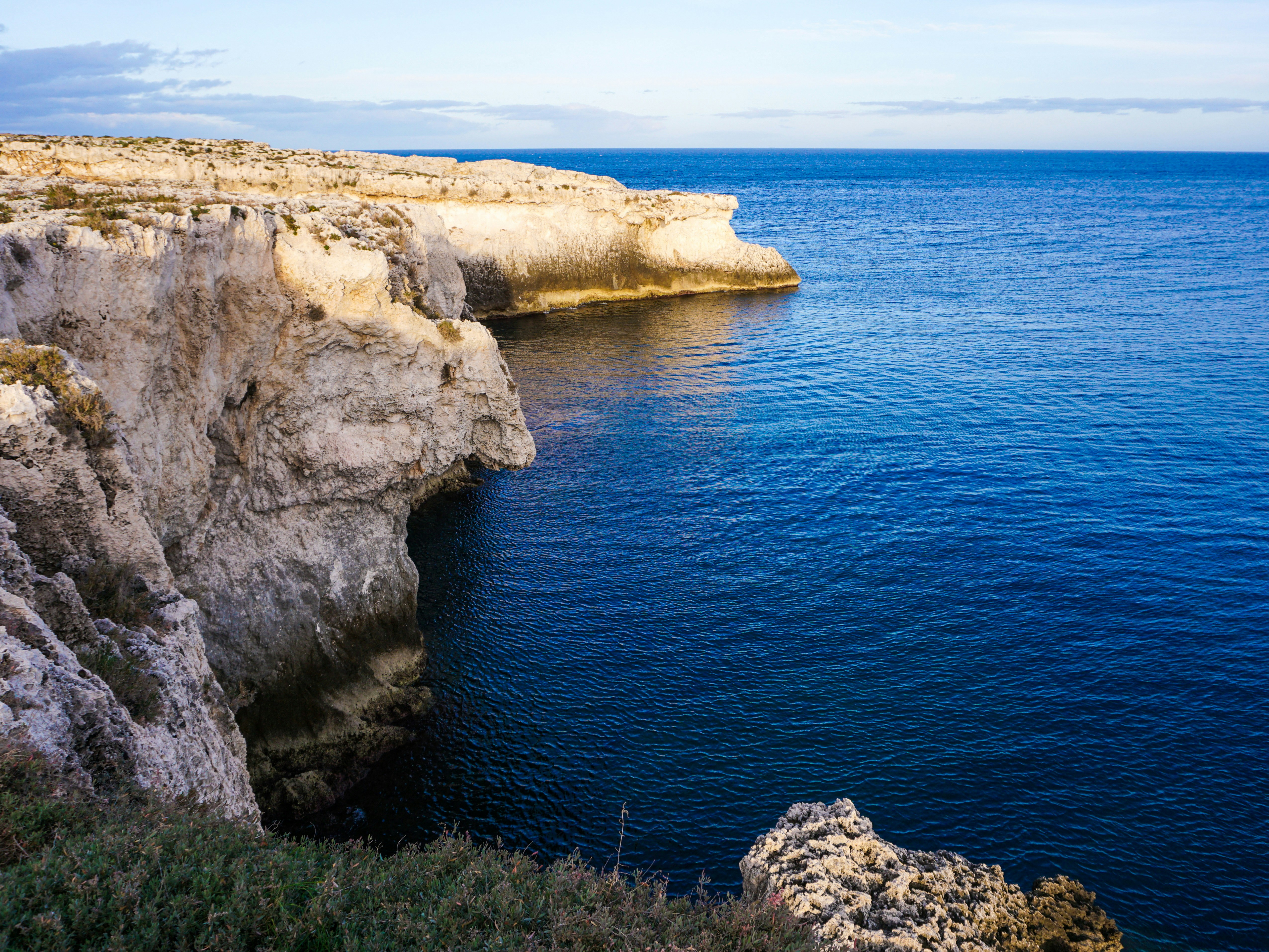 Photo by curiouscaptures