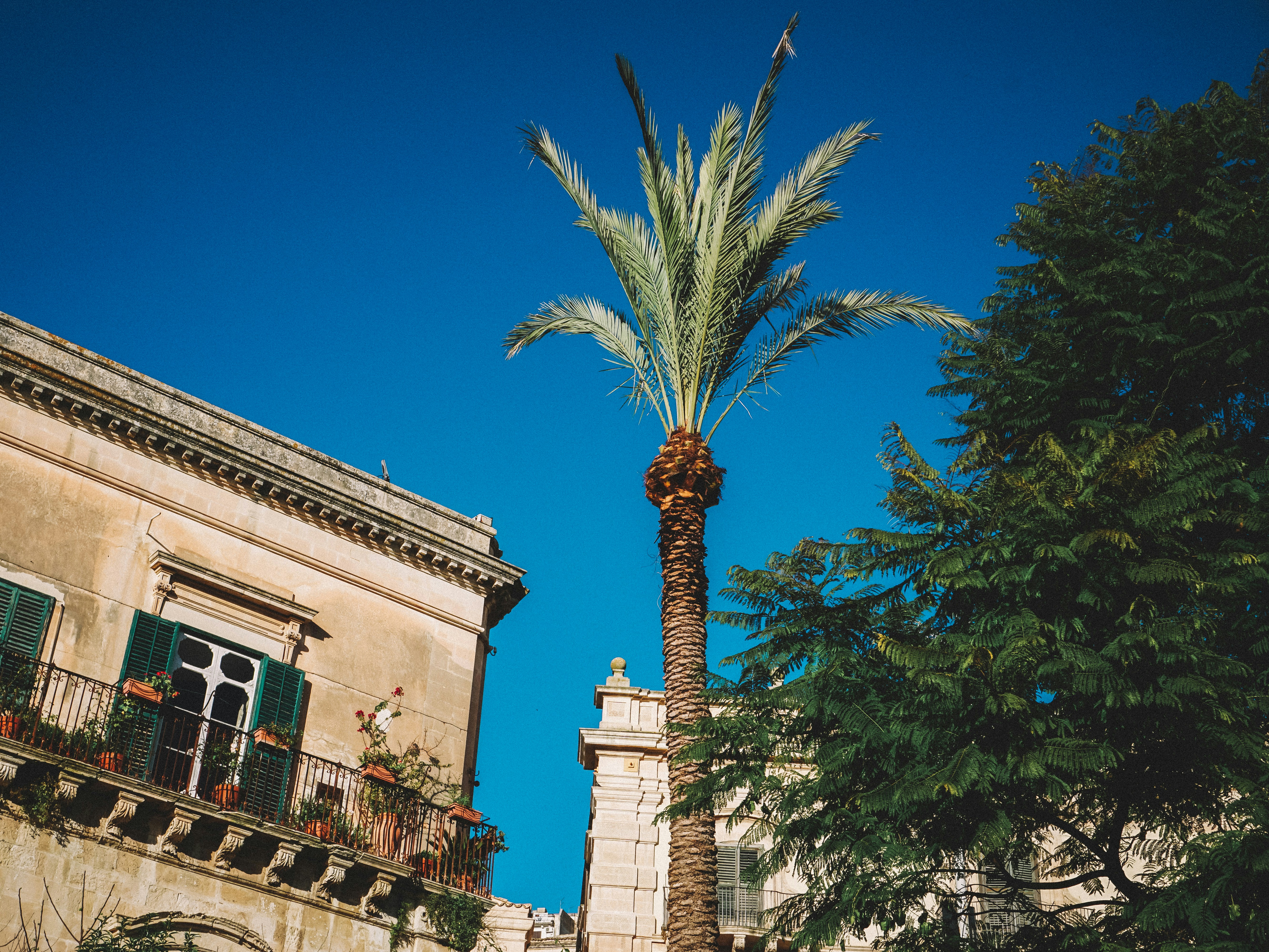 Photo by curiouscaptures