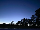 Silhouettes of trees against a twilight sky.