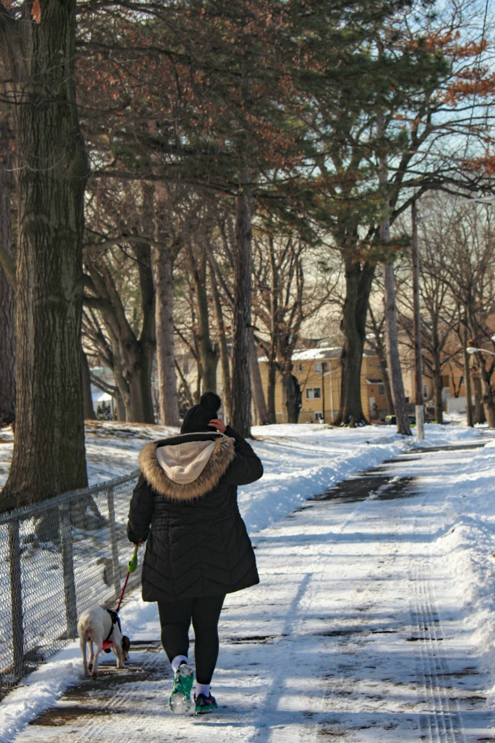 a woman walking her dog in the snow