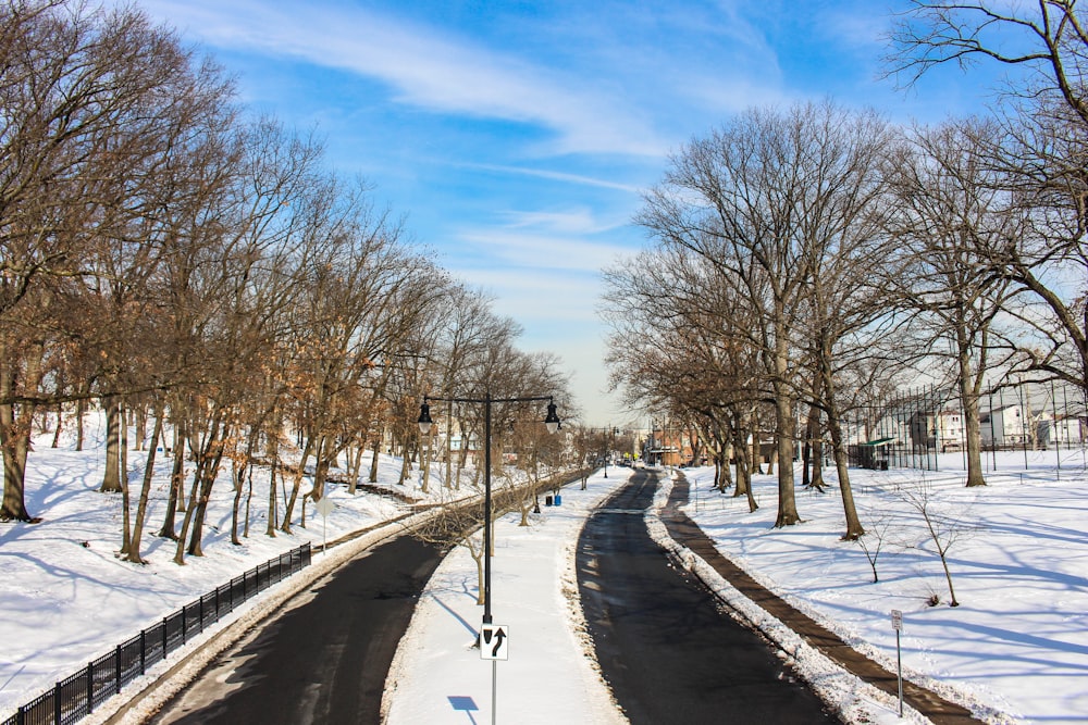 a snowy street lined with trees and a street light