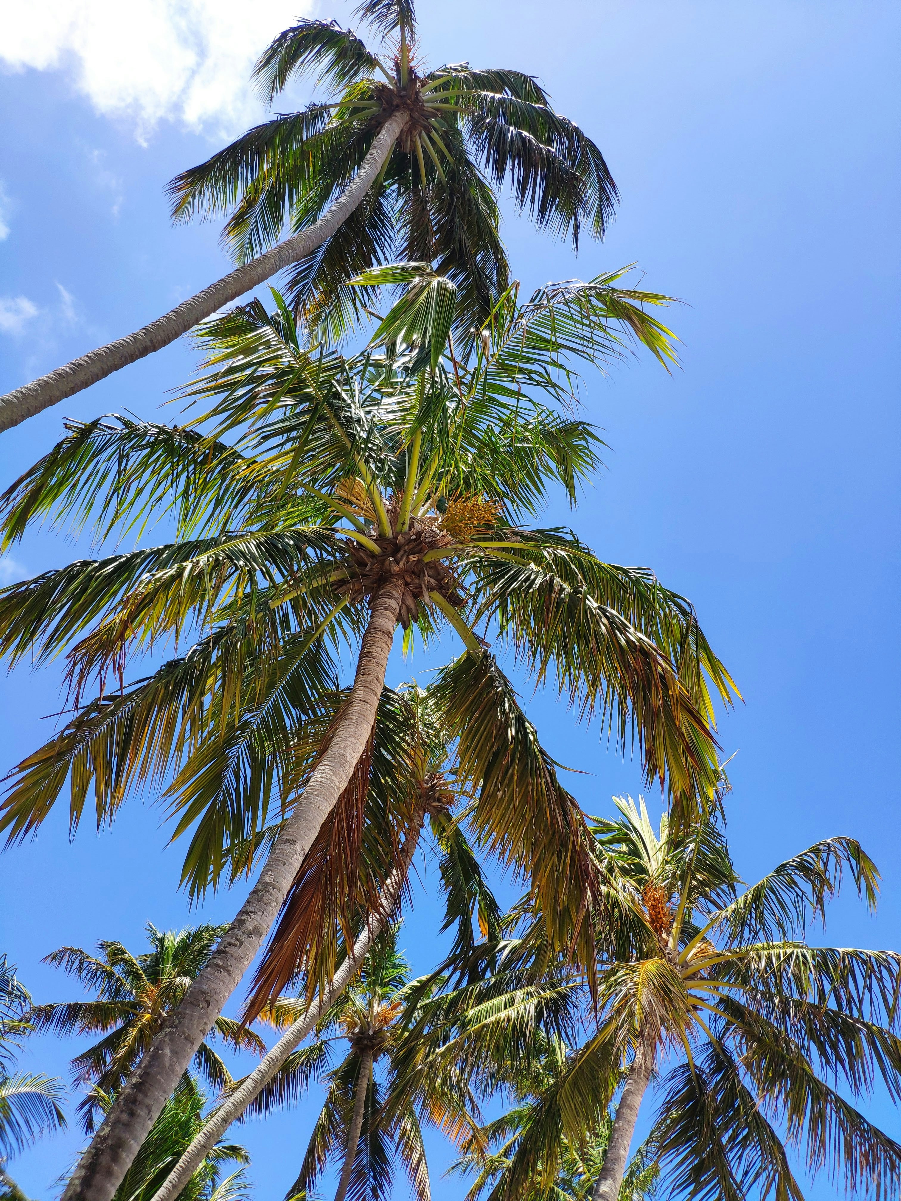 Photo by filipesizilio