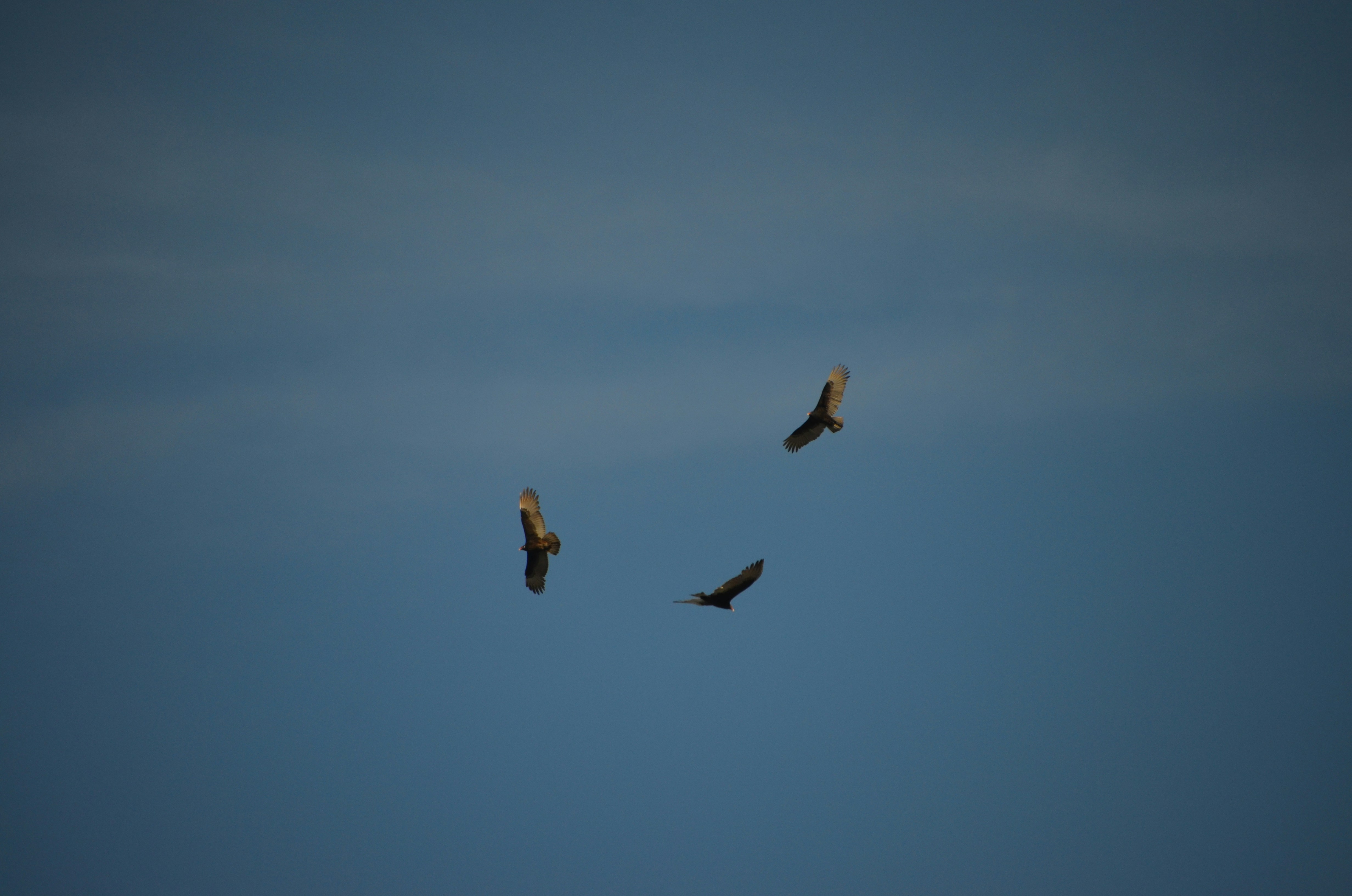 Photo by chapelbeach