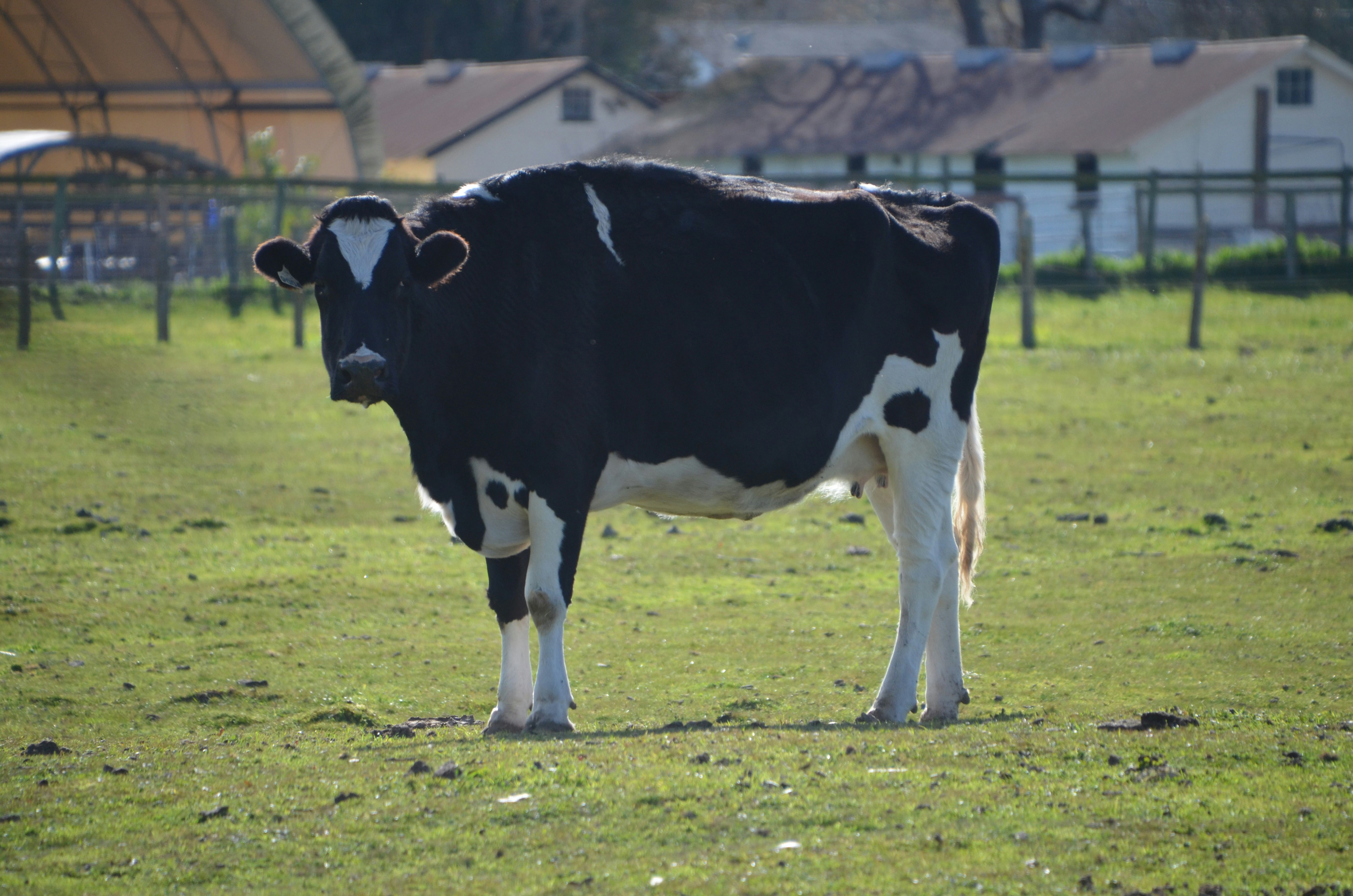 Photo by chapelbeach