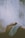 A person is lying down with a white cloth or towel placed over their head, surrounded by mist or steam. The scene suggests a relaxing or therapeutic environment.