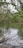 A calm nature scene featuring a tranquil lake surrounded by trees.