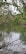 A calm nature scene featuring a tranquil lake surrounded by trees.