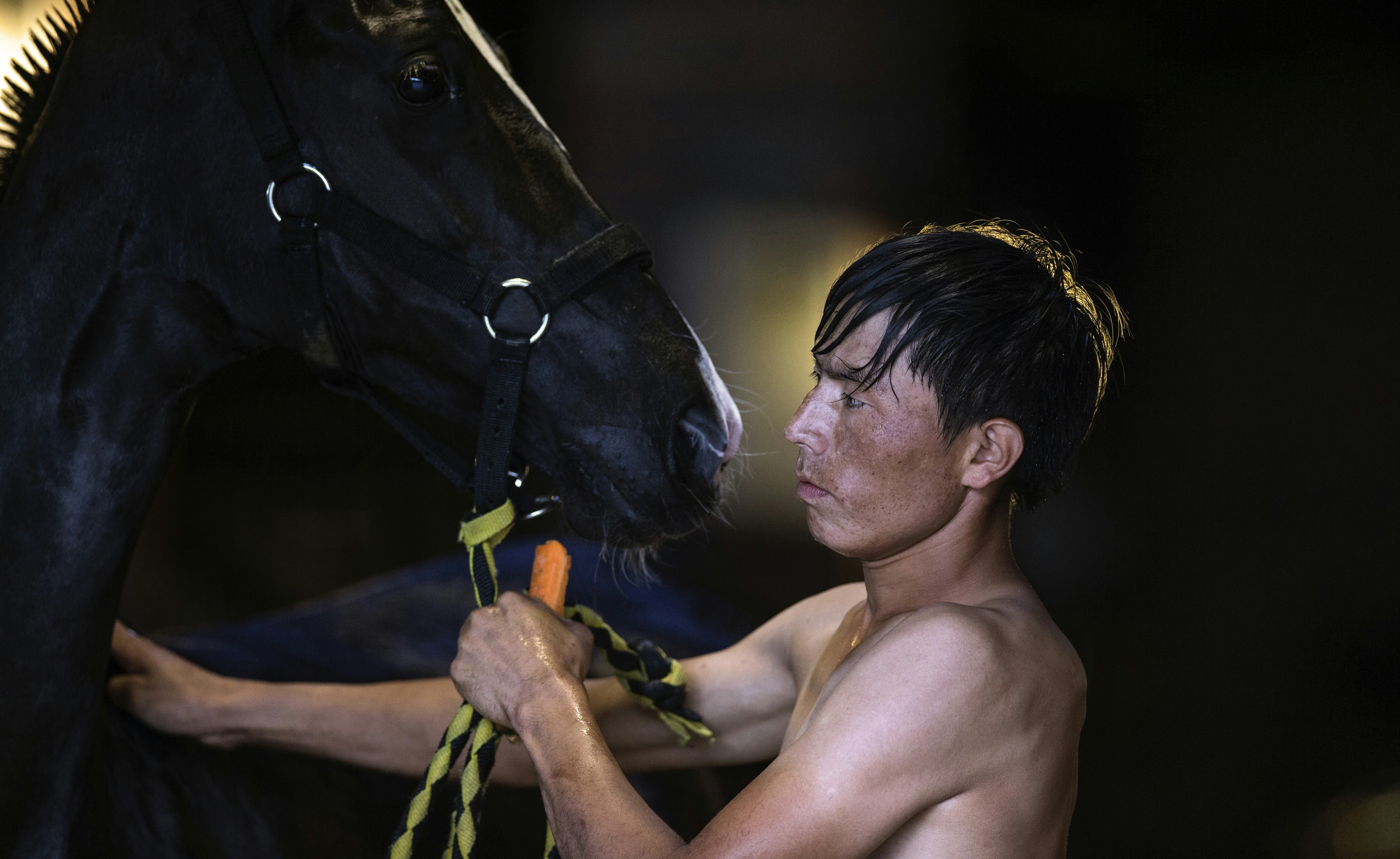 A man and horse share a quiet moment.