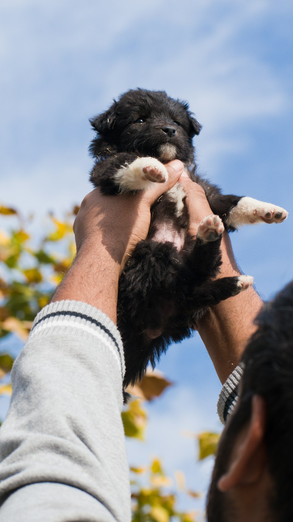 a man holding a puppy up in the air