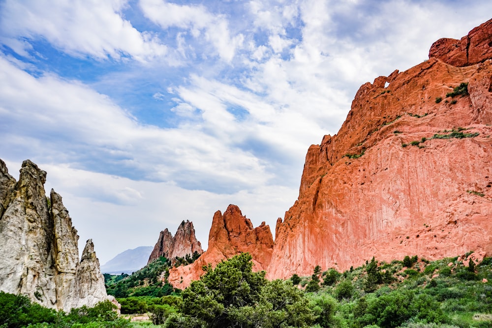 a rocky landscape with trees and rocks in the background