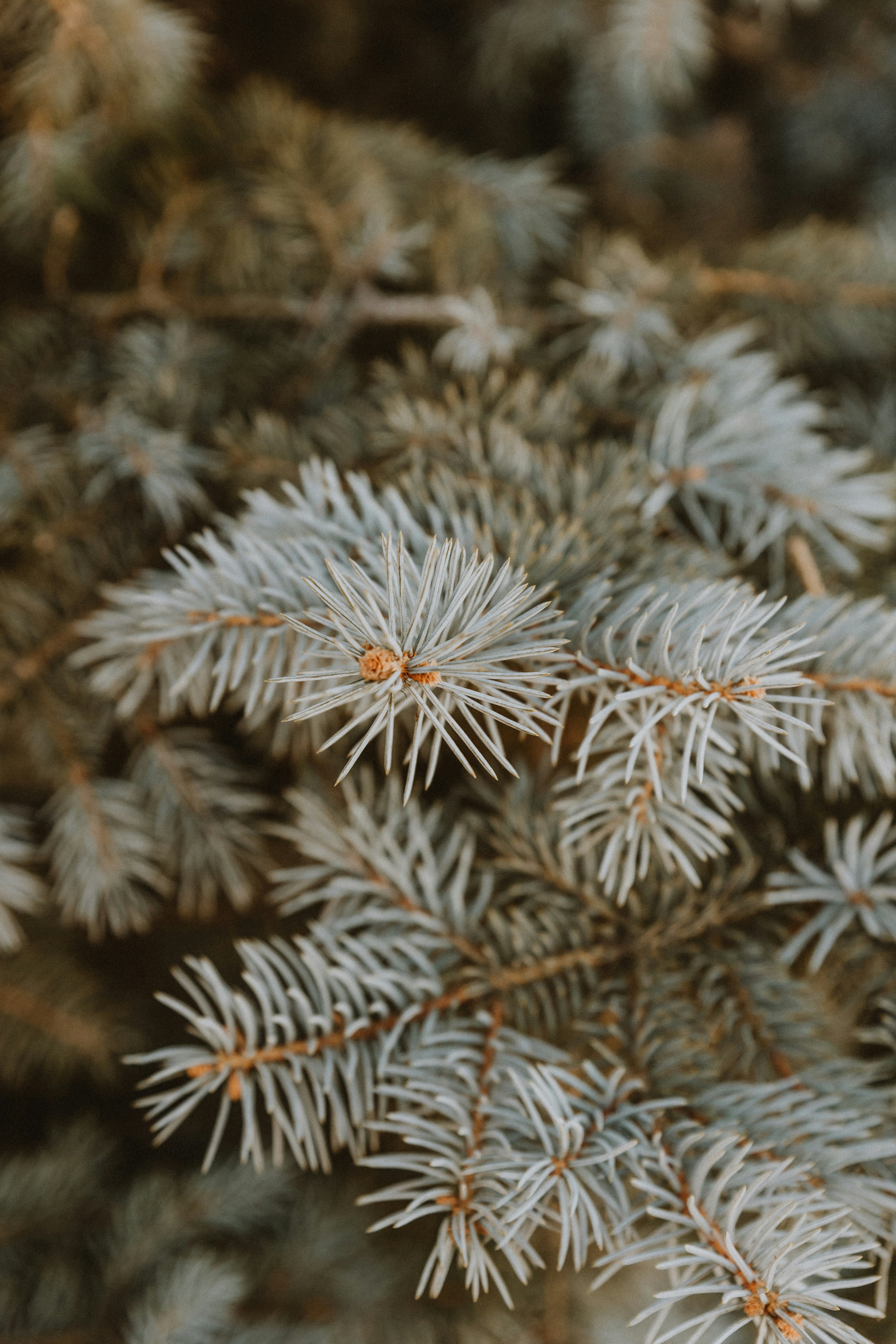 Photo by benignohoyuela