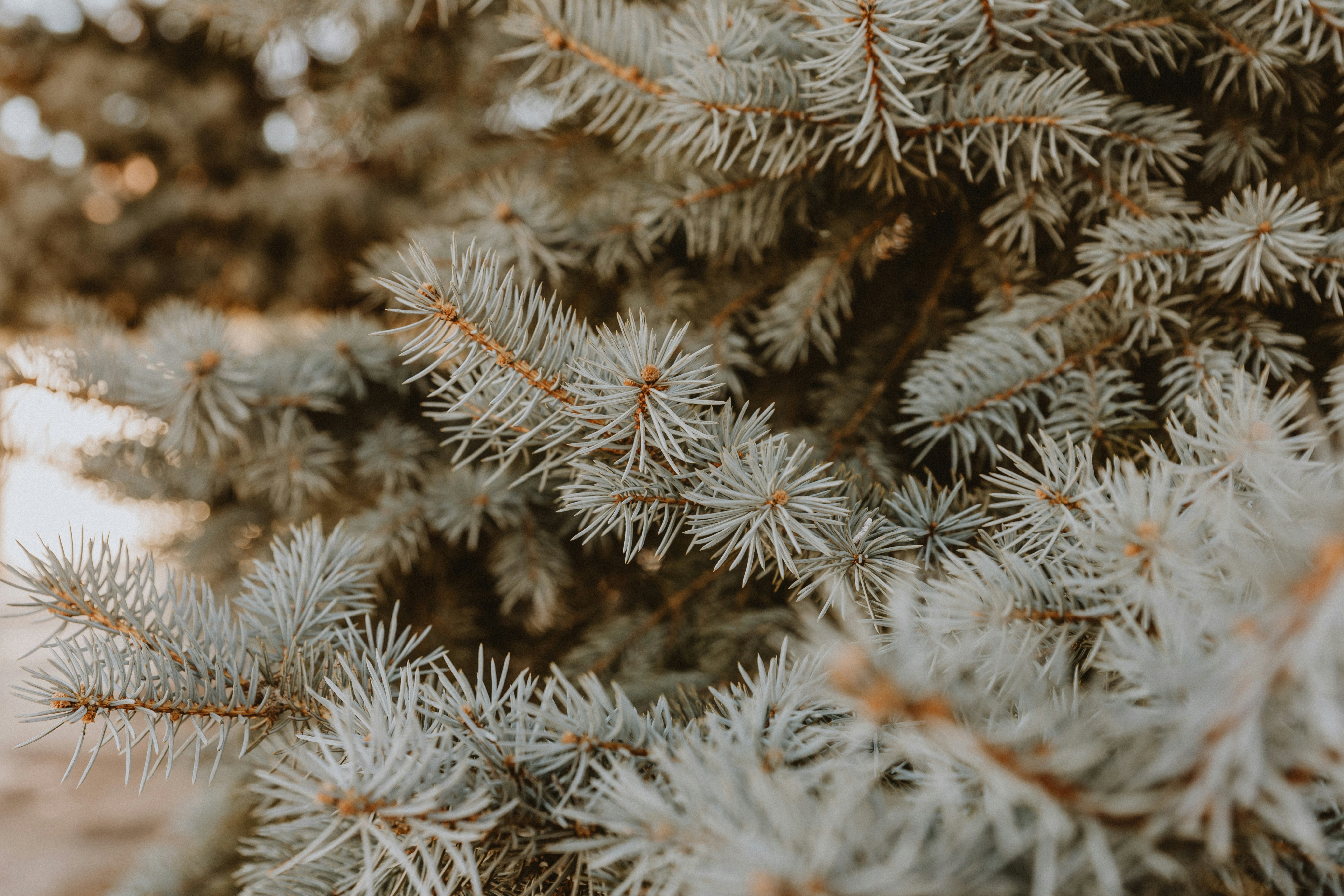 Photo by benignohoyuela