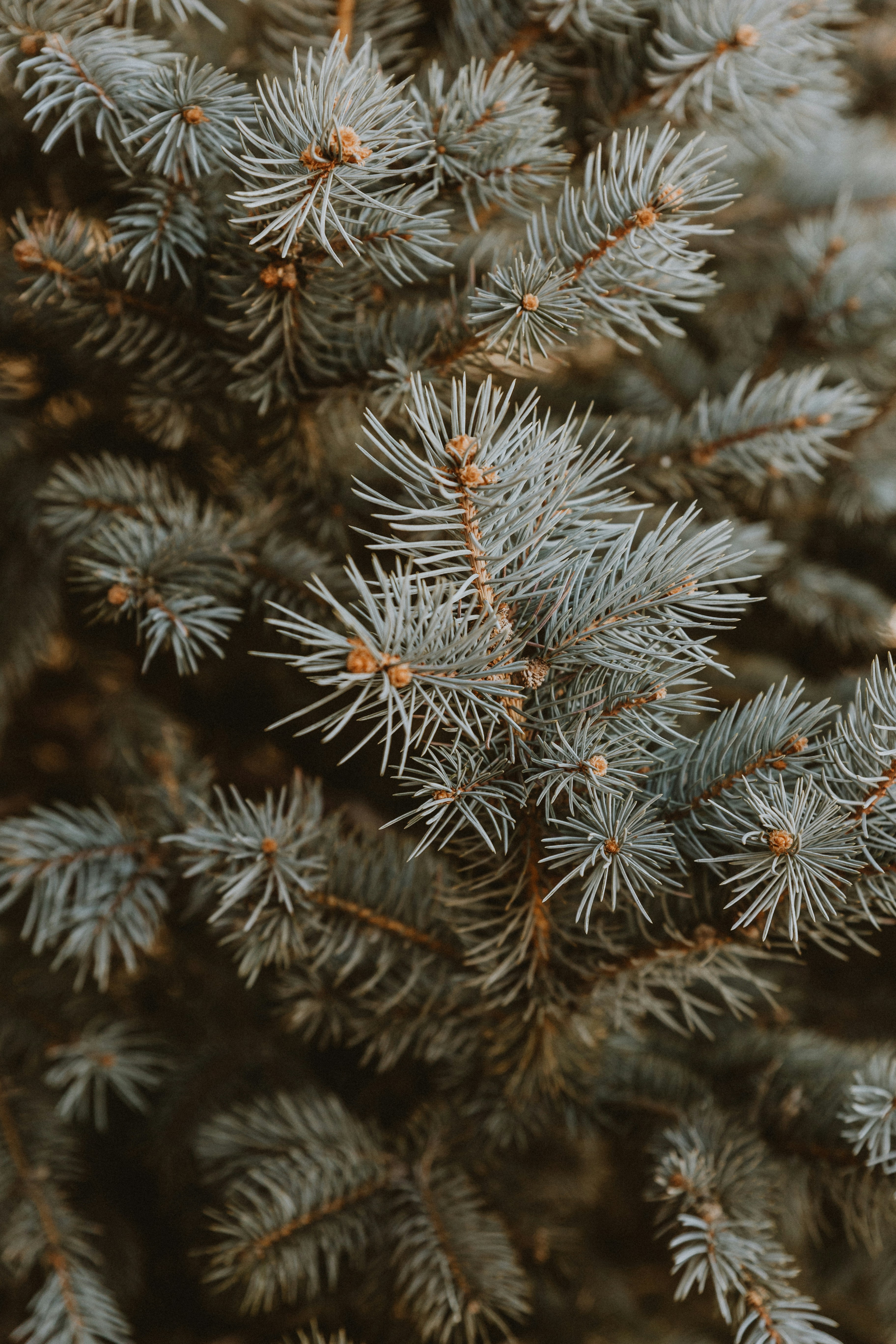 Photo by benignohoyuela