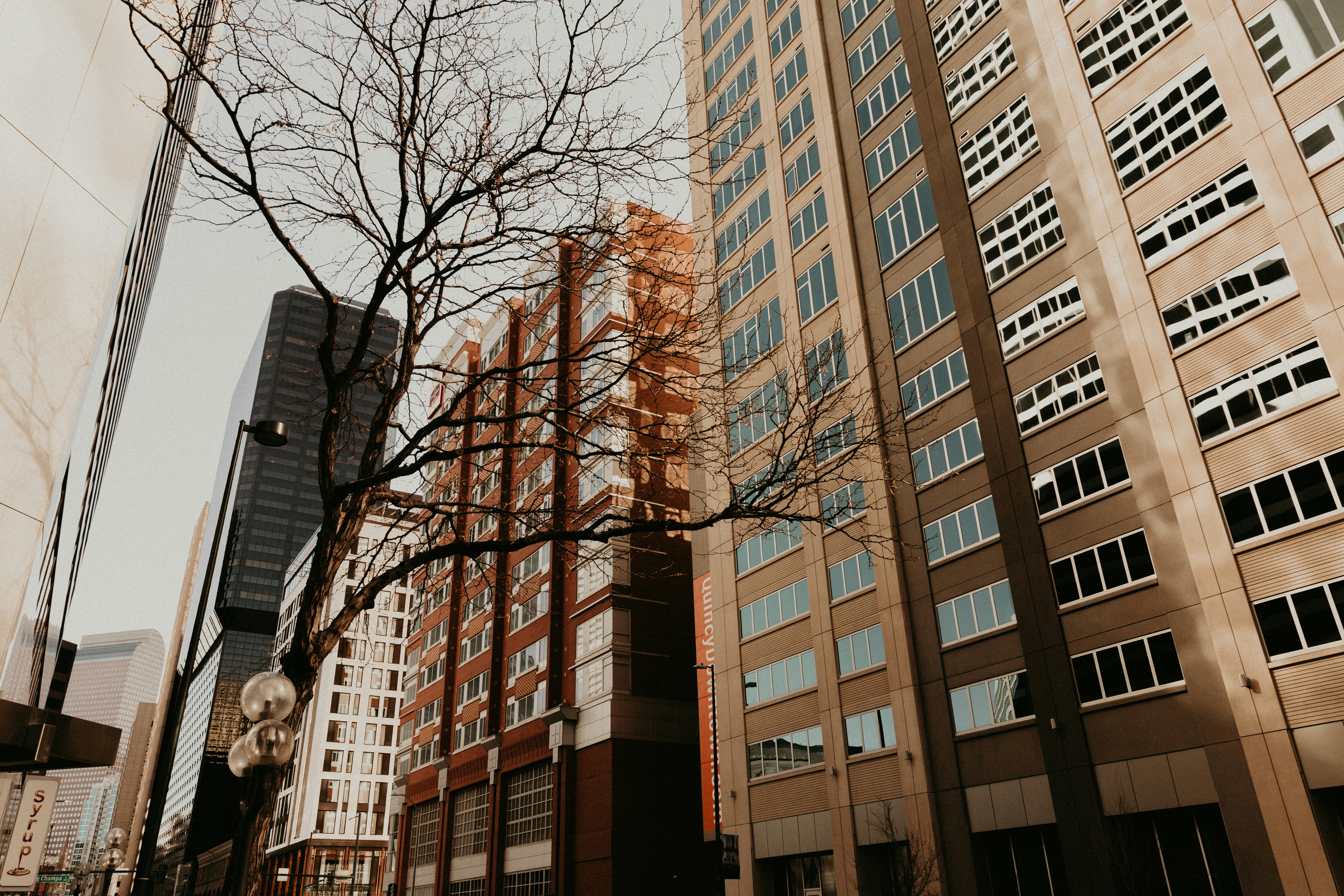 Photo by benignohoyuela