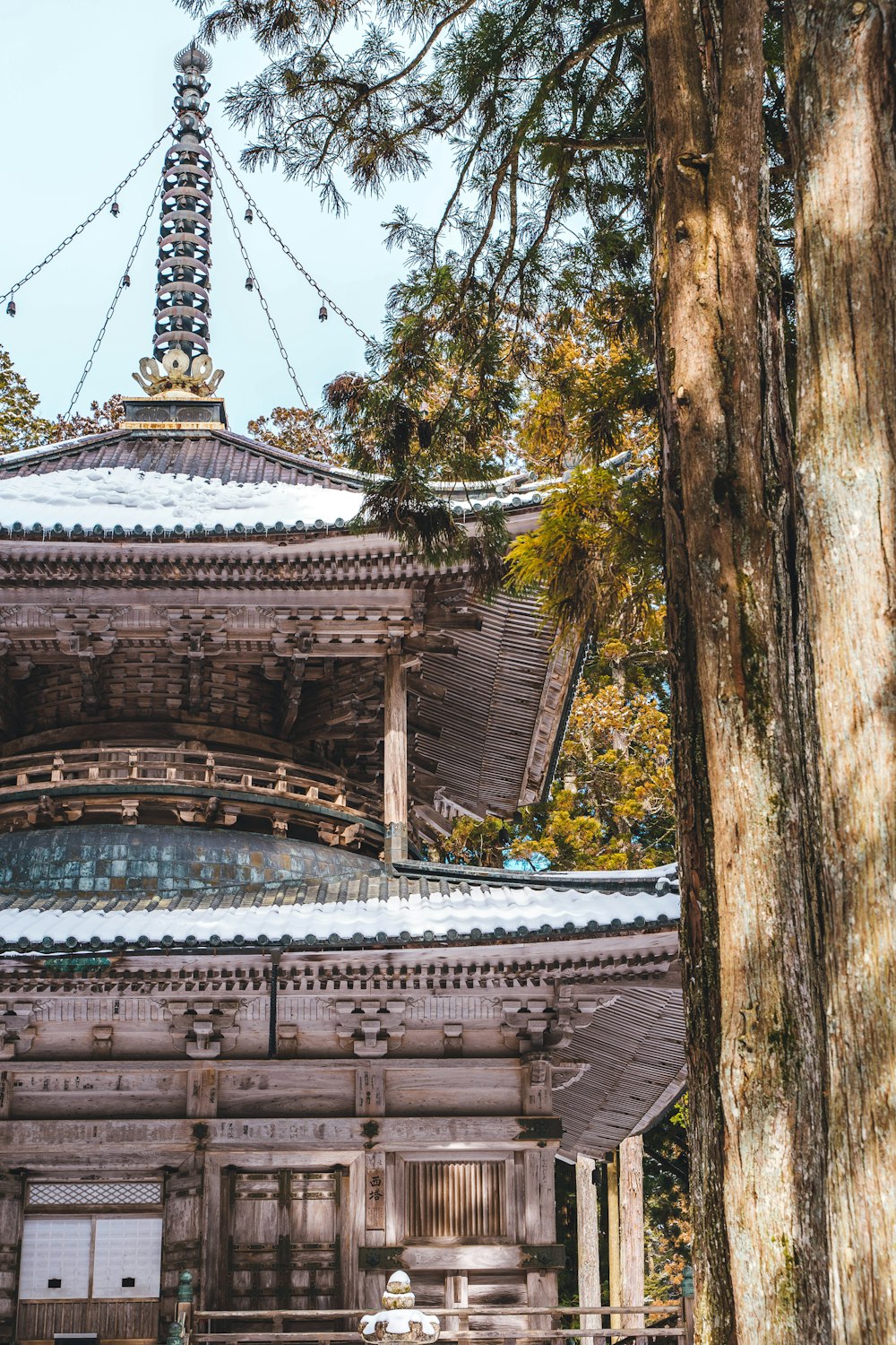 a tall wooden building sitting next to a tree