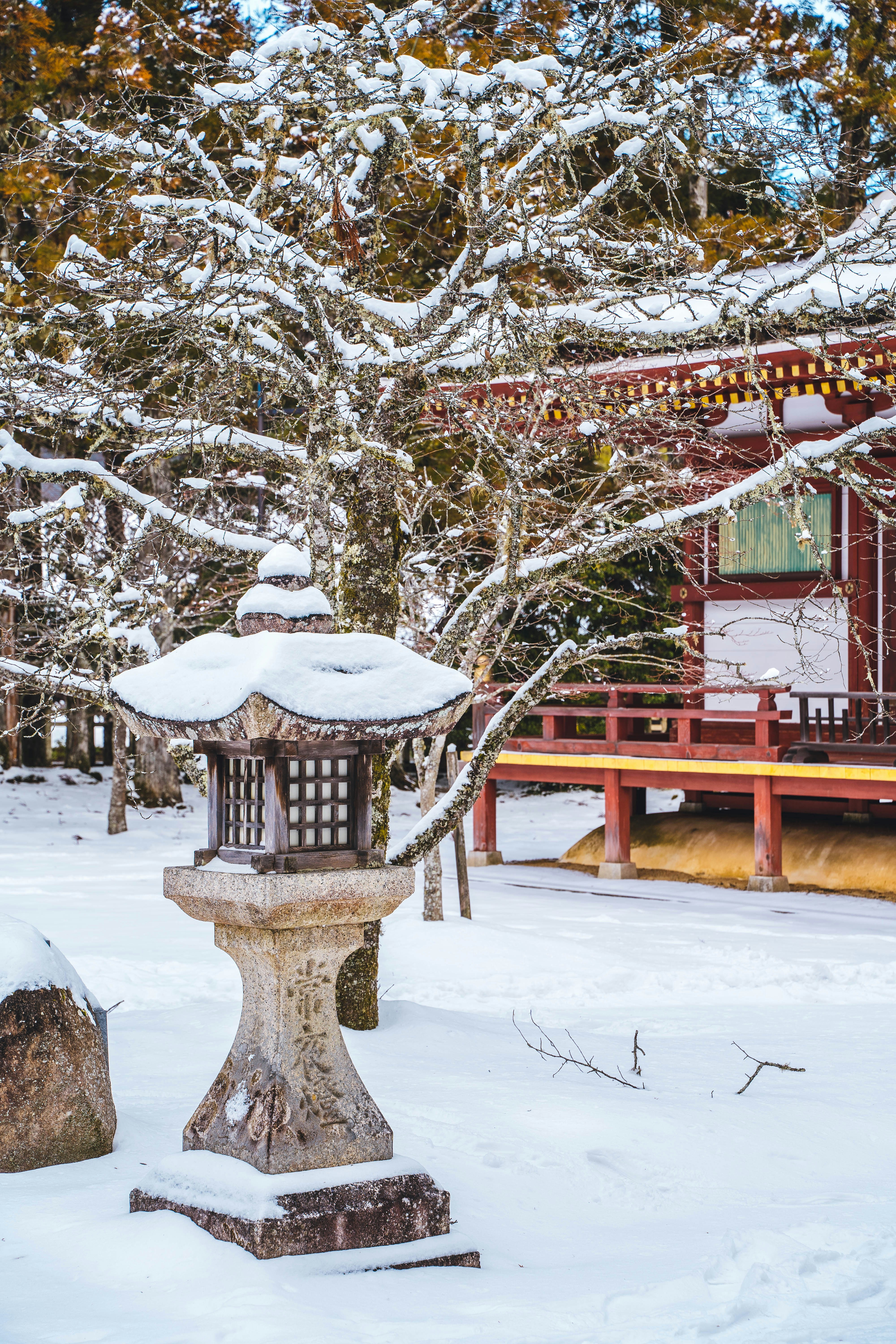 Hidden winter spots local guide Japan