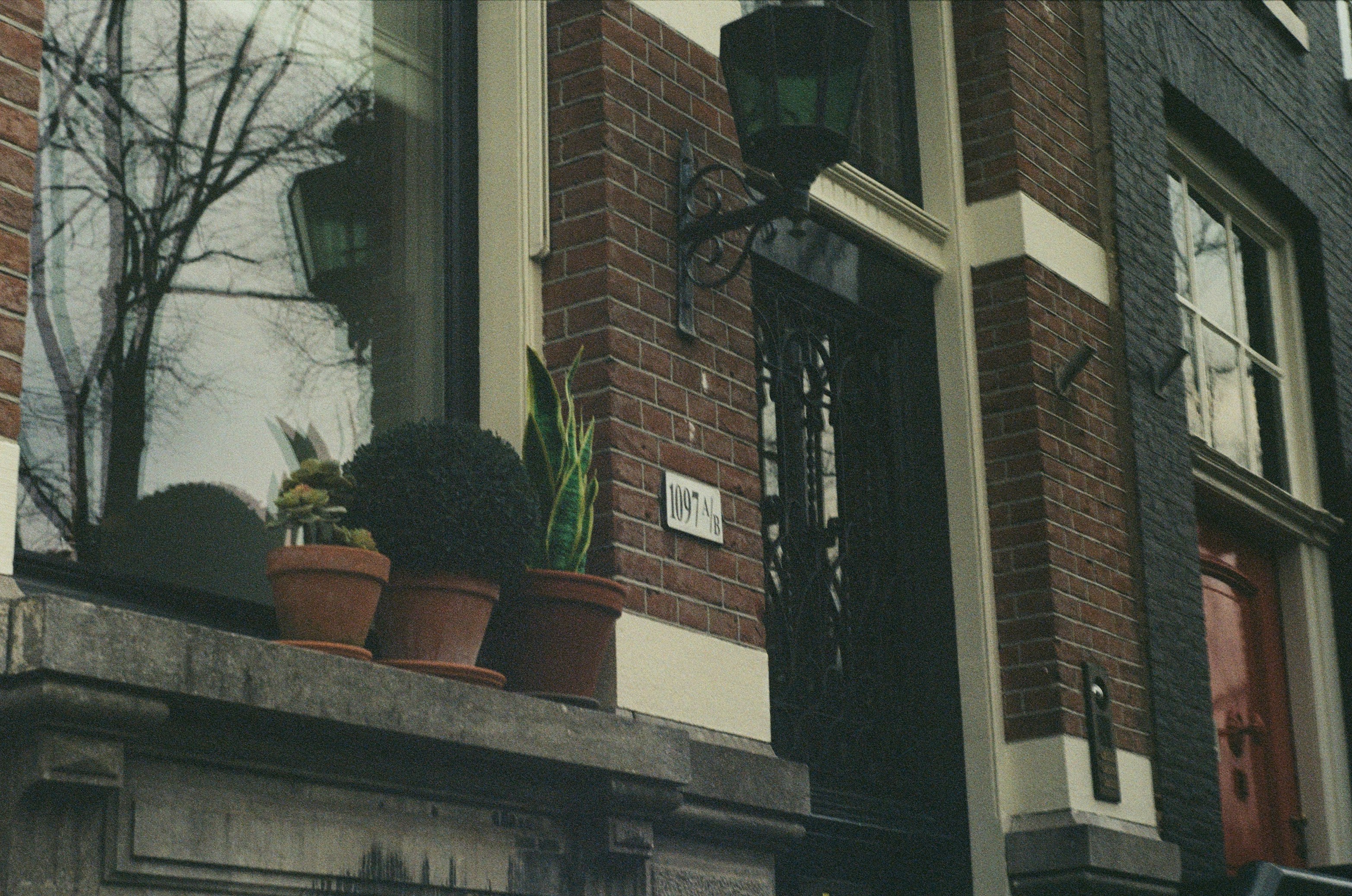 a couple of potted plants sitting on top of a window sill