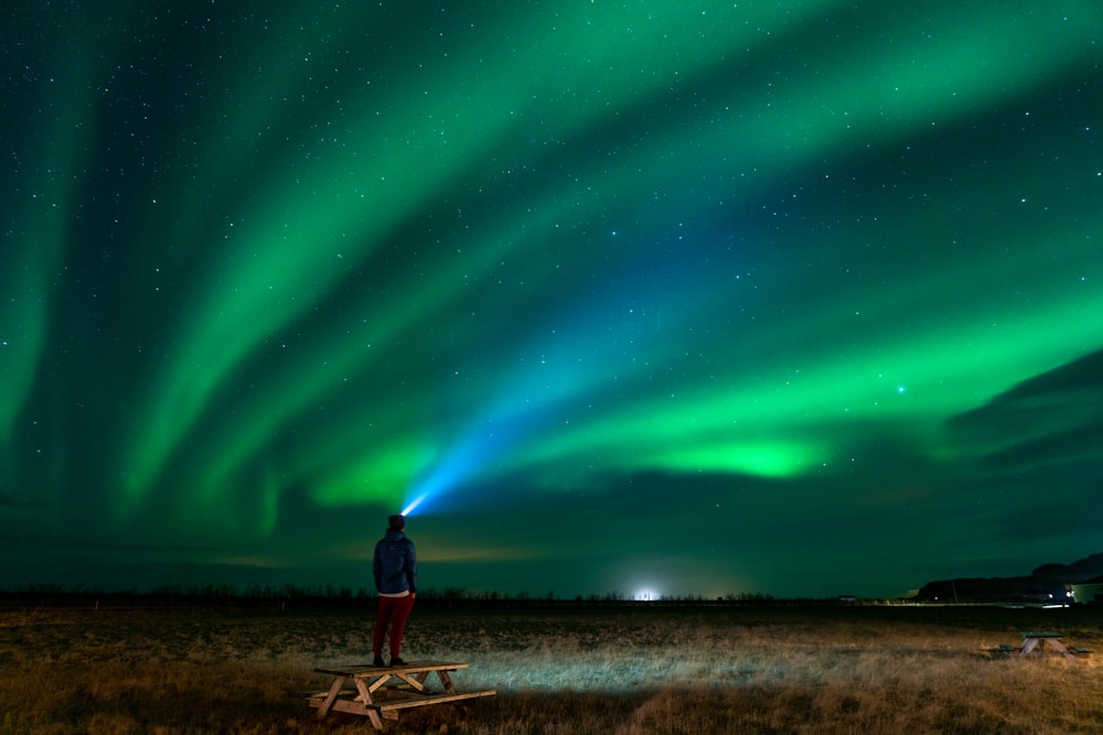 a man standing in a field watching the aurora bore