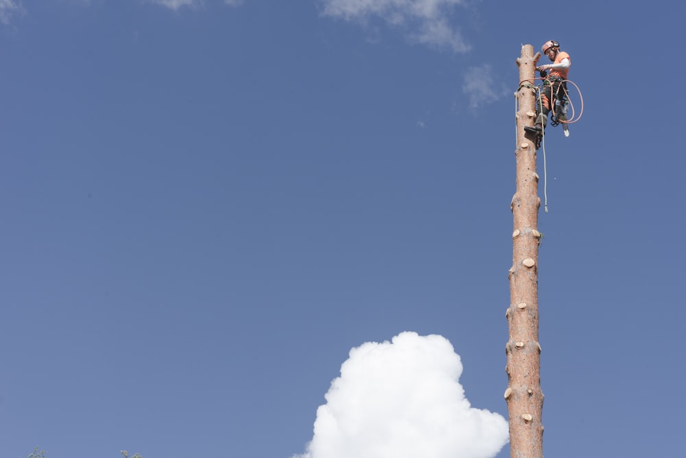 a man on a bicycle on top of a tall wooden pole