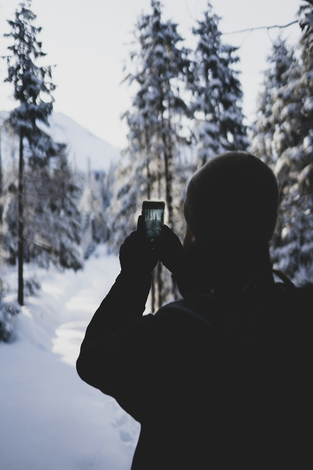 a man taking a picture of a snow covered forest